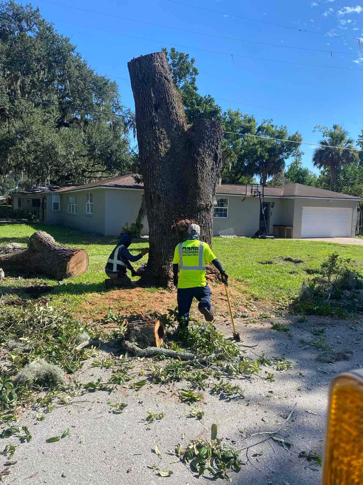 Tree Removal | Residential by ProGreen Services