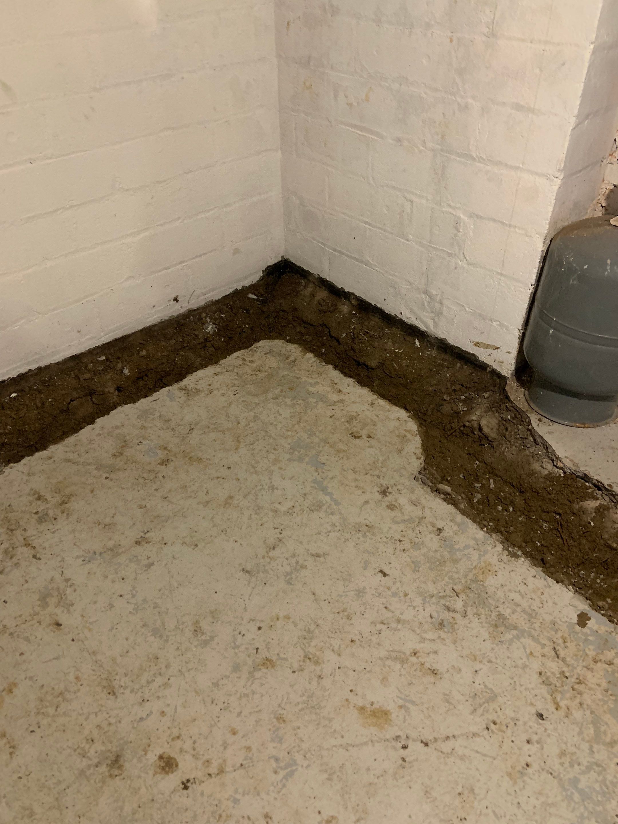 Earning Christine’s Trust in Her Forever Home by Waterproofing Northeast