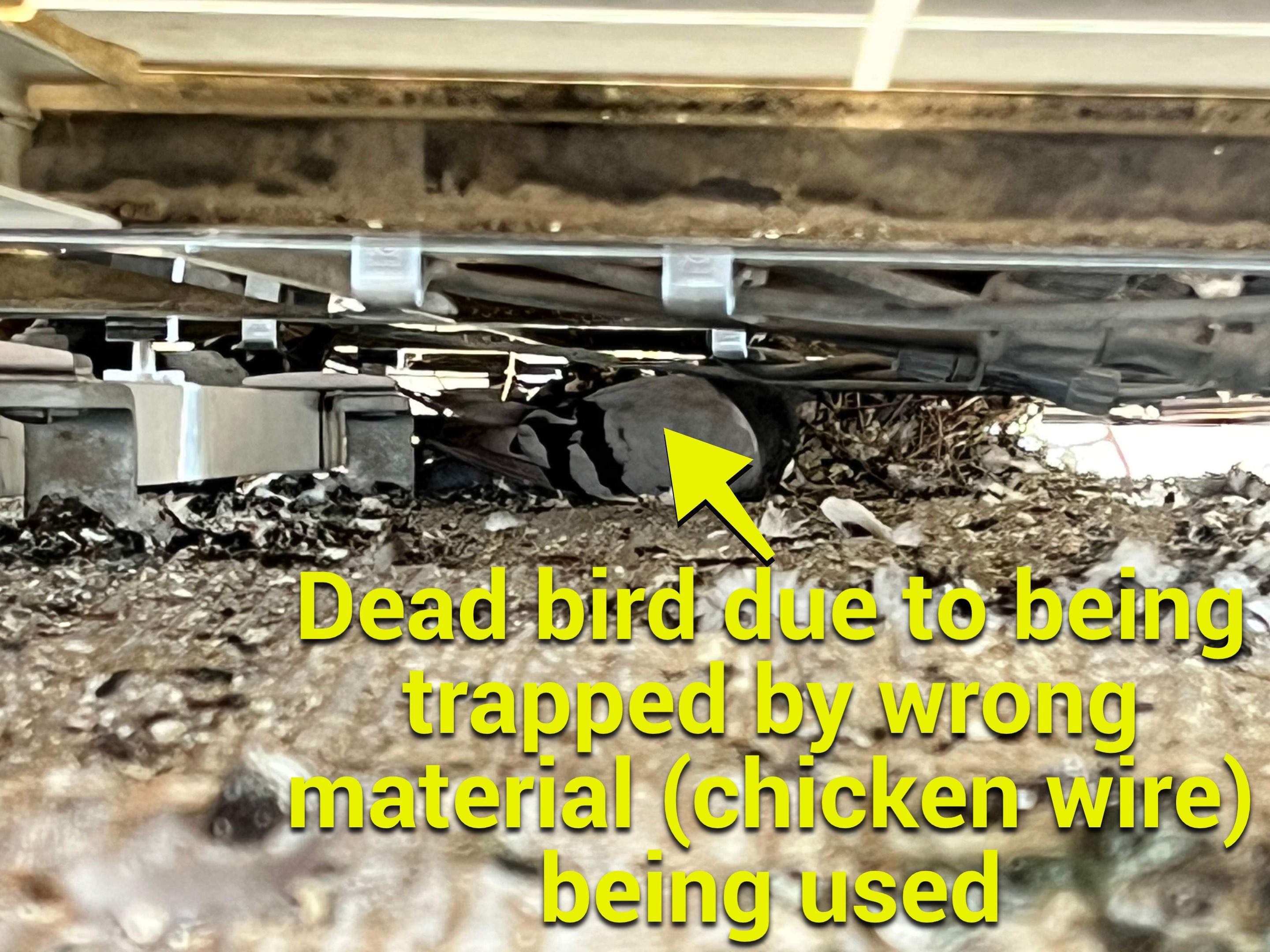 Failed Bird Proofing Installations by Palm Coast Solar Cleaning