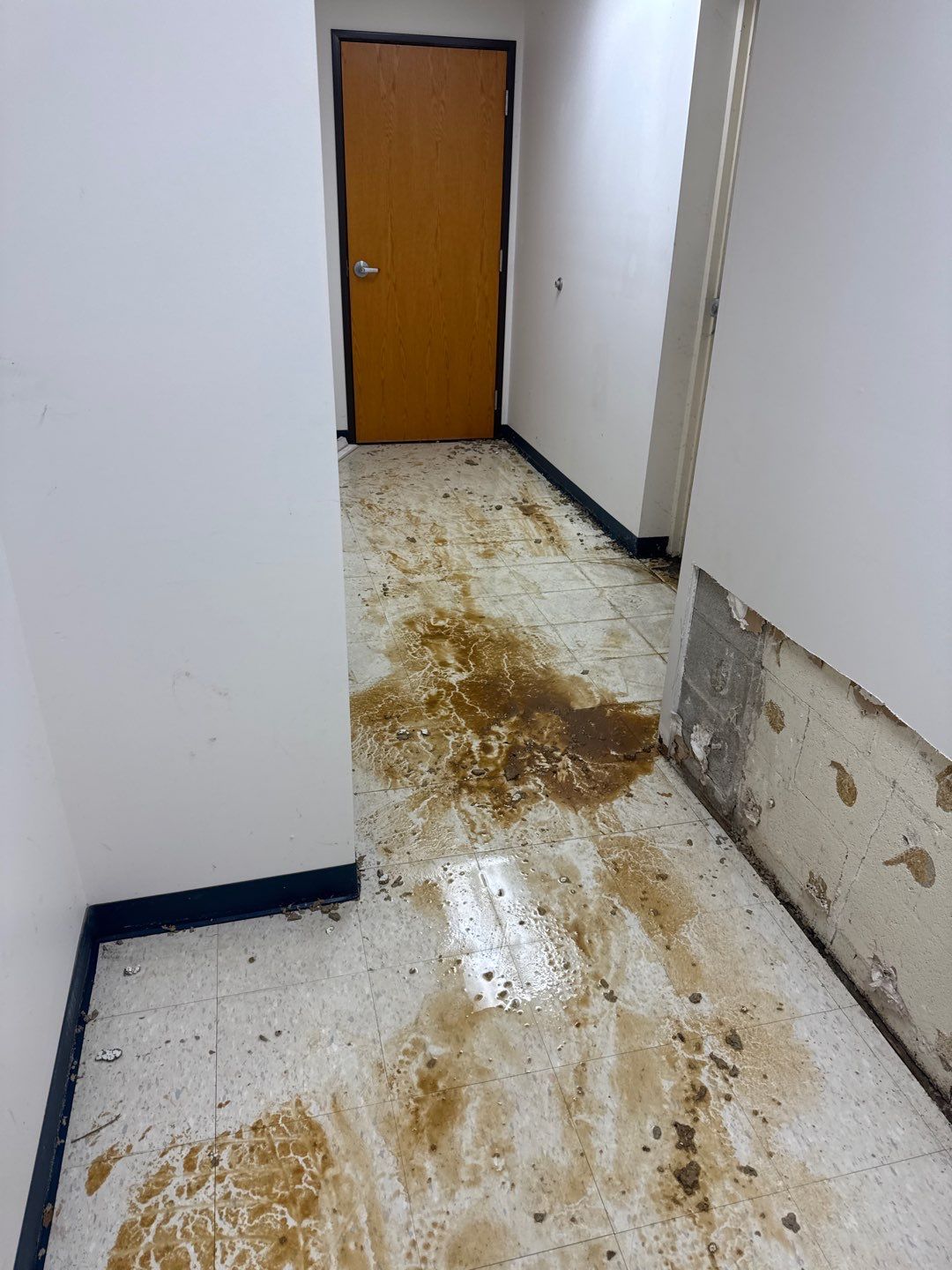 Project in Warren by EzDry Water Mitigation & Property Restoration