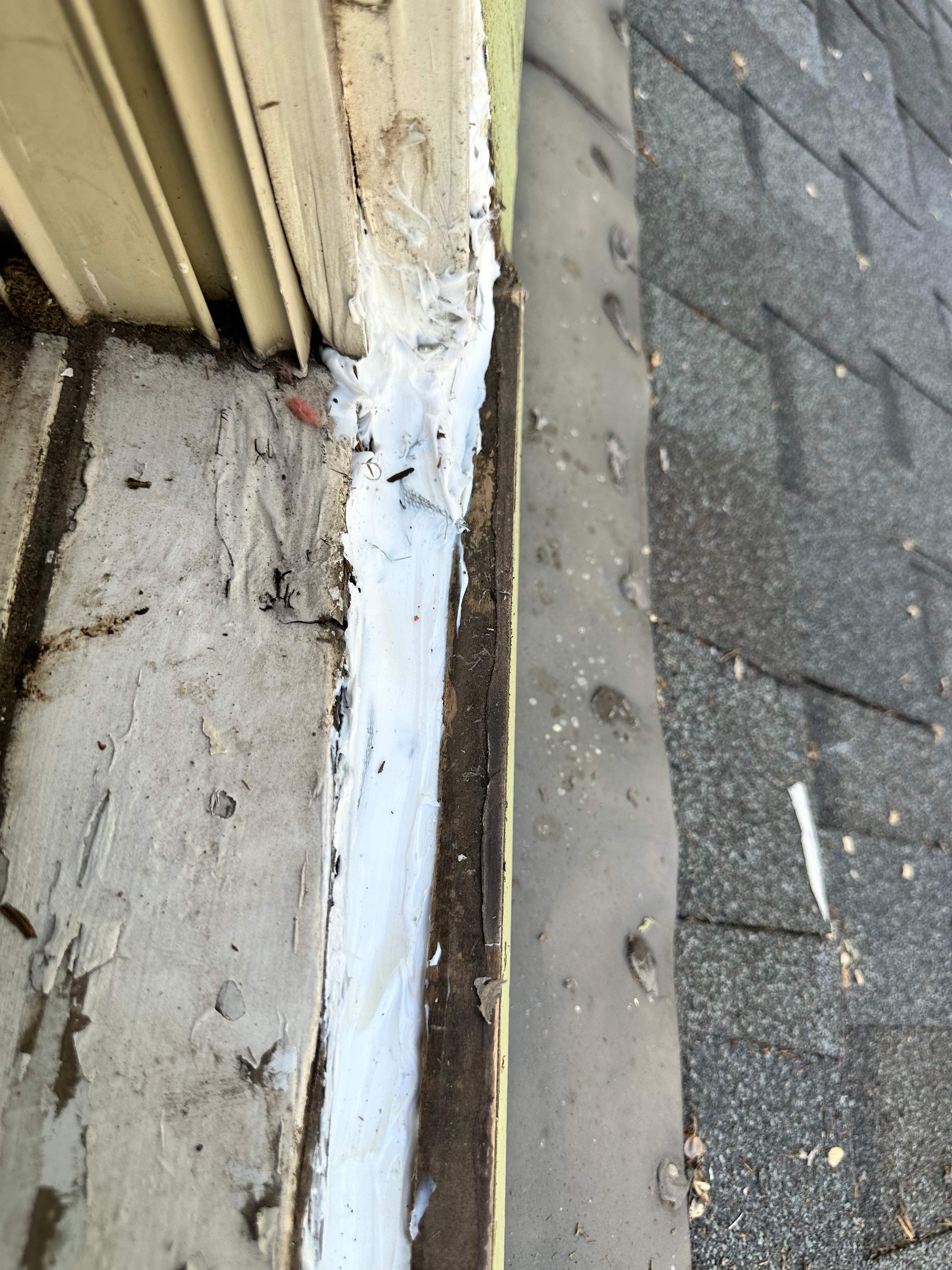 Yellowjackets in Bedroom by Rockwall Honey Bee Company