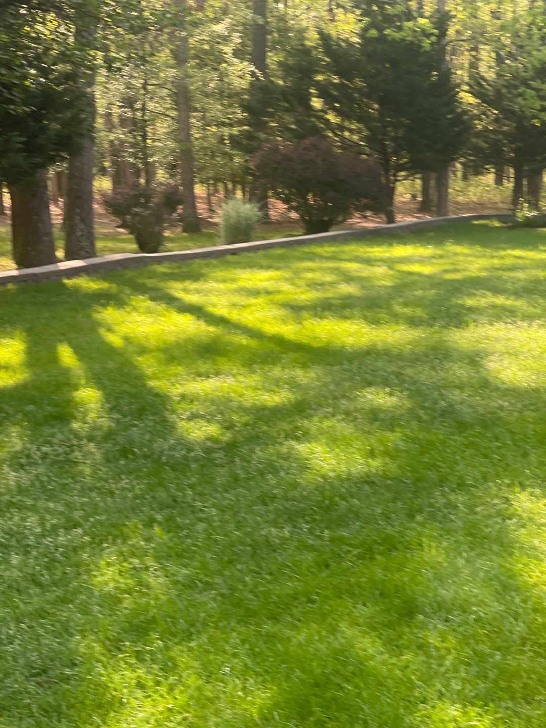 Pavers Cleaned, Garage and Concrete walls by SJ Exterior