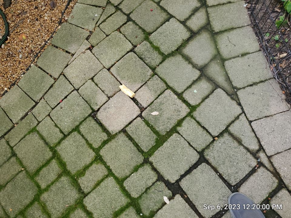 Brick paver clean, sand and seal.  using Surebond SB-1300 by Northern Power Washing LLC.