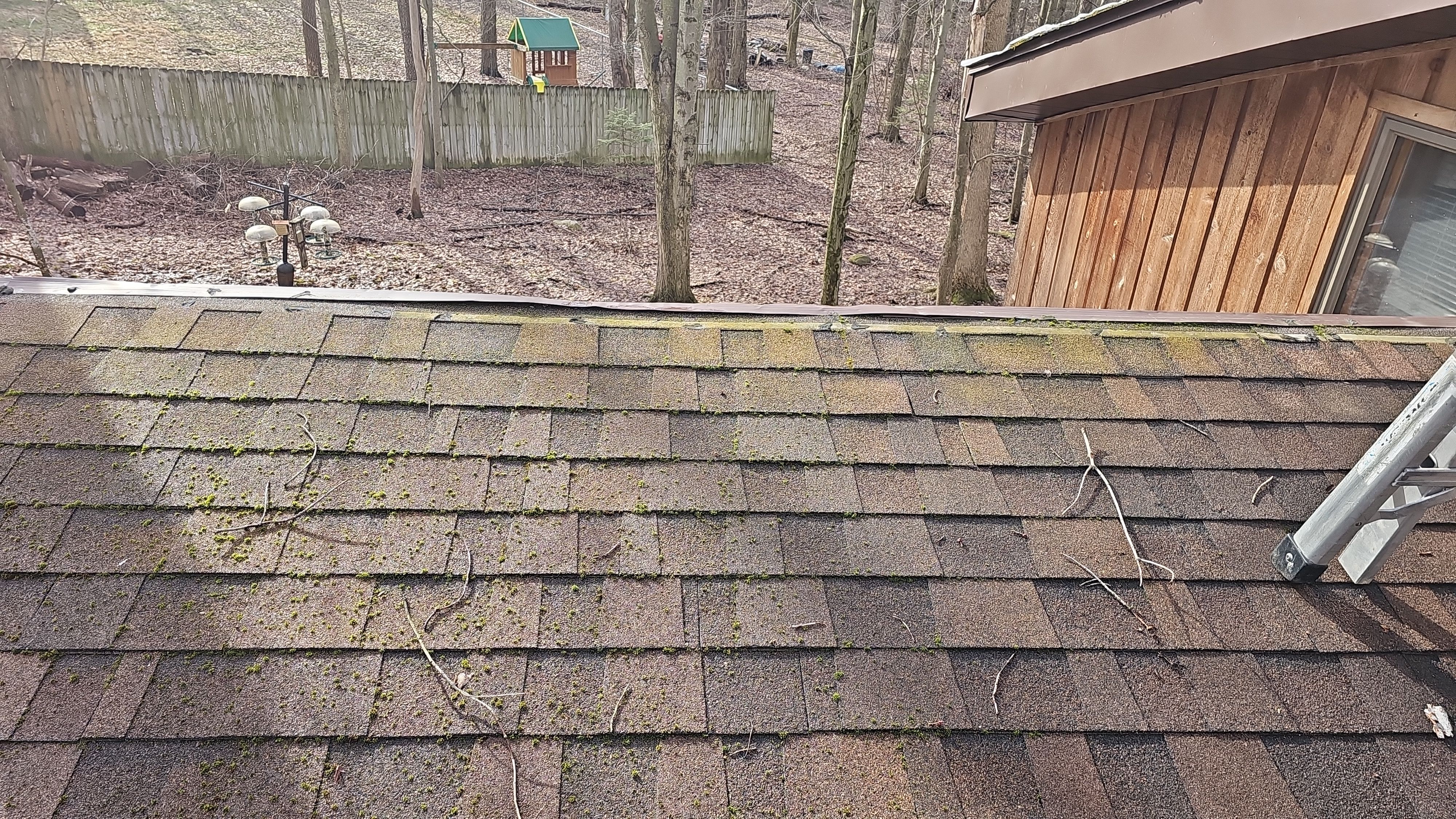 Atlas Pinnacle, Color, Burnt Hickory, Drip Edge, Color, Musket Brown by Eagle Eye Roofing