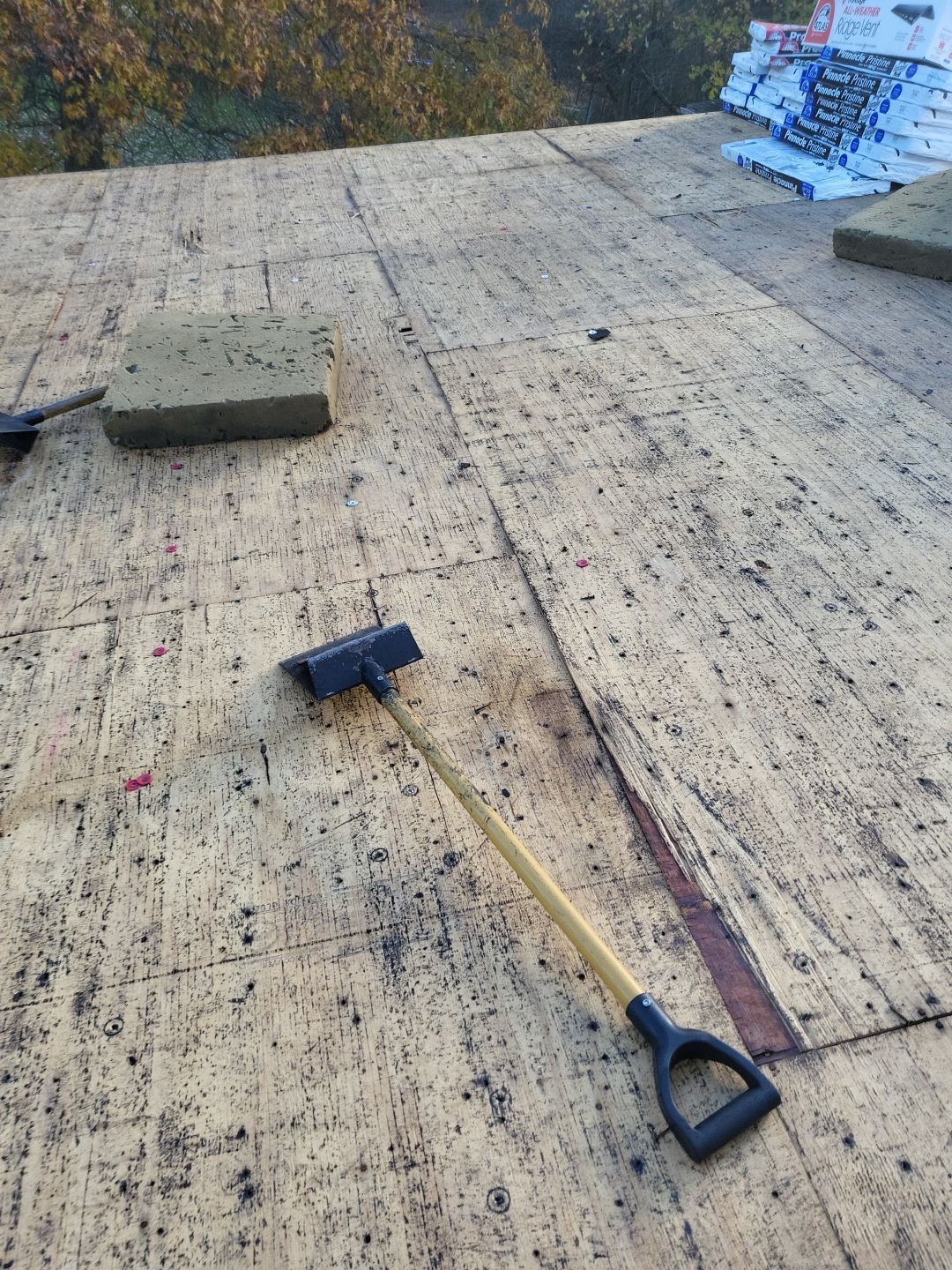 ATLAS PINNACLE COLOR: BLACK SHADOW DRIP EDGE: BLACK by Eagle Eye Roofing