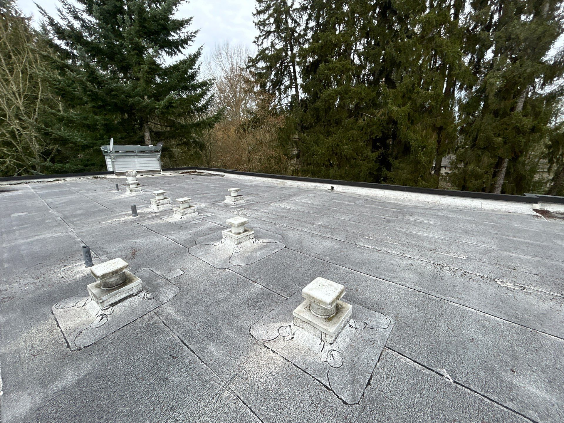 Project in Kirkland by Connolly Construction Company