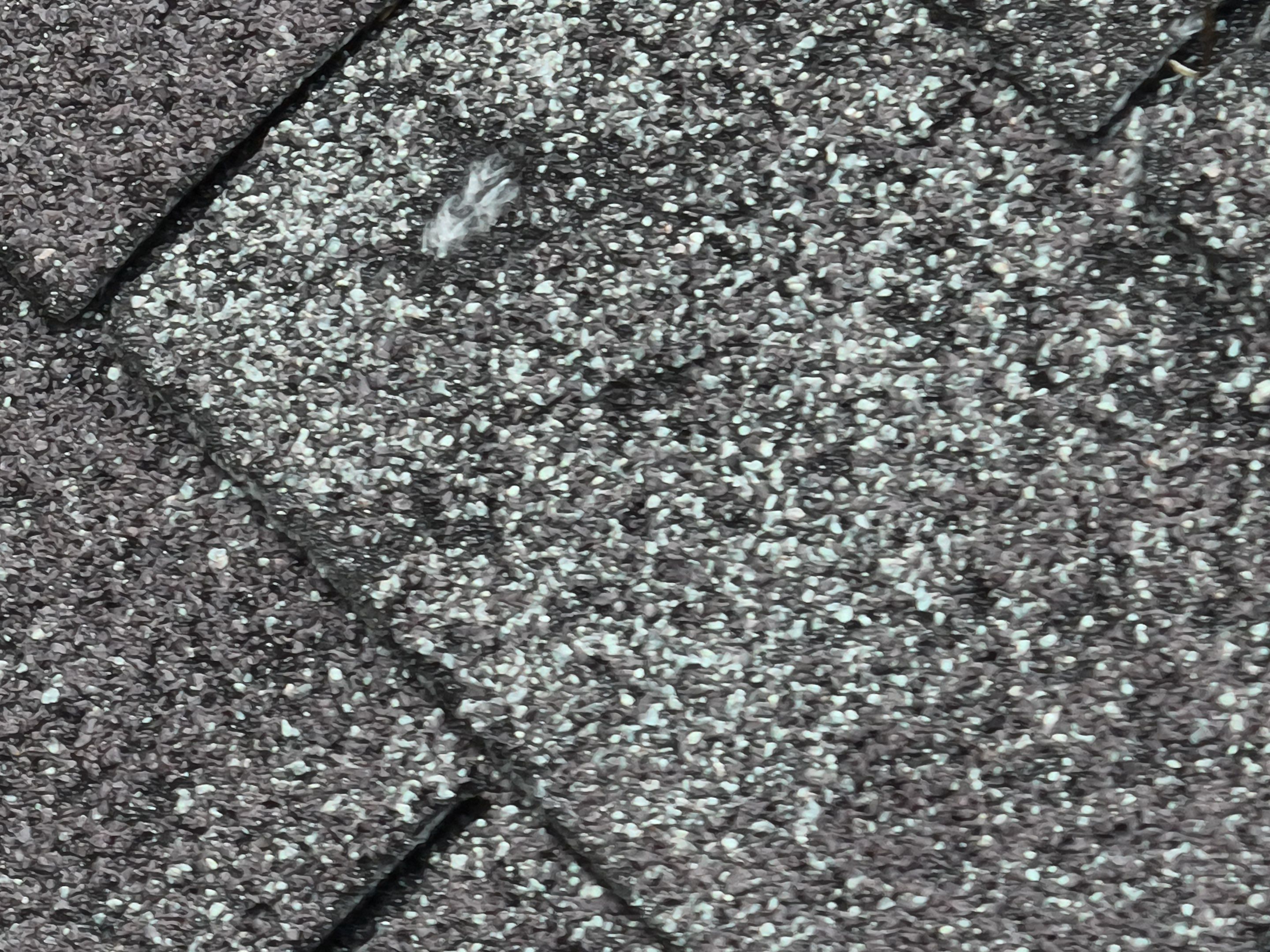  Tynebrae Place Roswell Roof Replacement  by Dom Roofing & Restoration