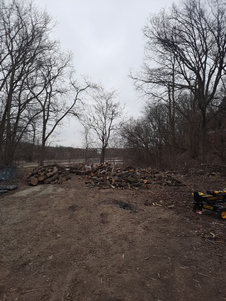 Tree Removal using Tree Removal by Mike Jones & Sons Tree Service LLC 