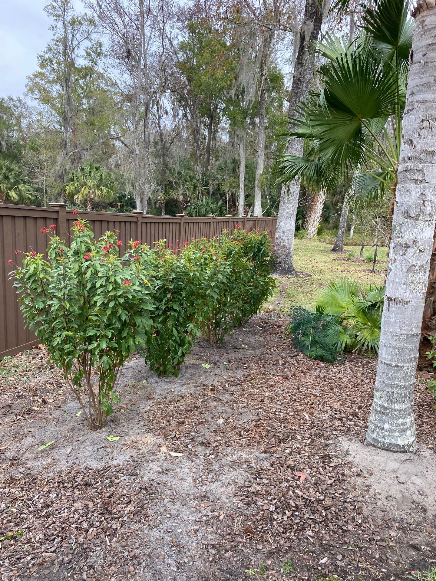 Deerwood Resident | Landscape Freshen-Up Project by ProGreen Services