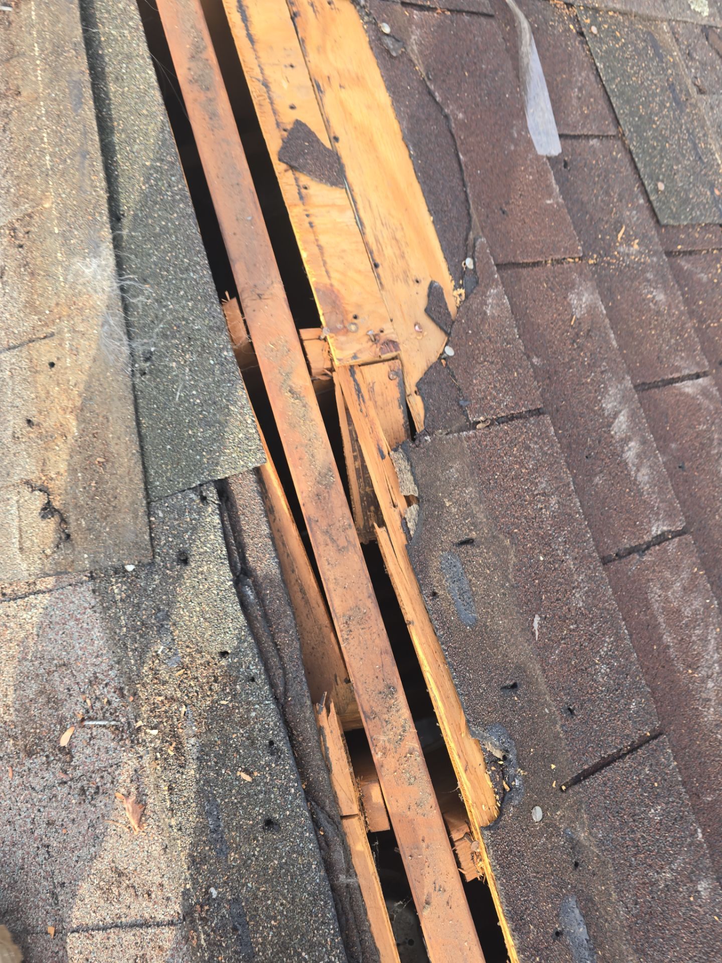 Residential Roofing Installation using Owens Corning Duration Driftwood Siding Installation Using Cedar Impressions Pacific Blue by A Plus Exterior