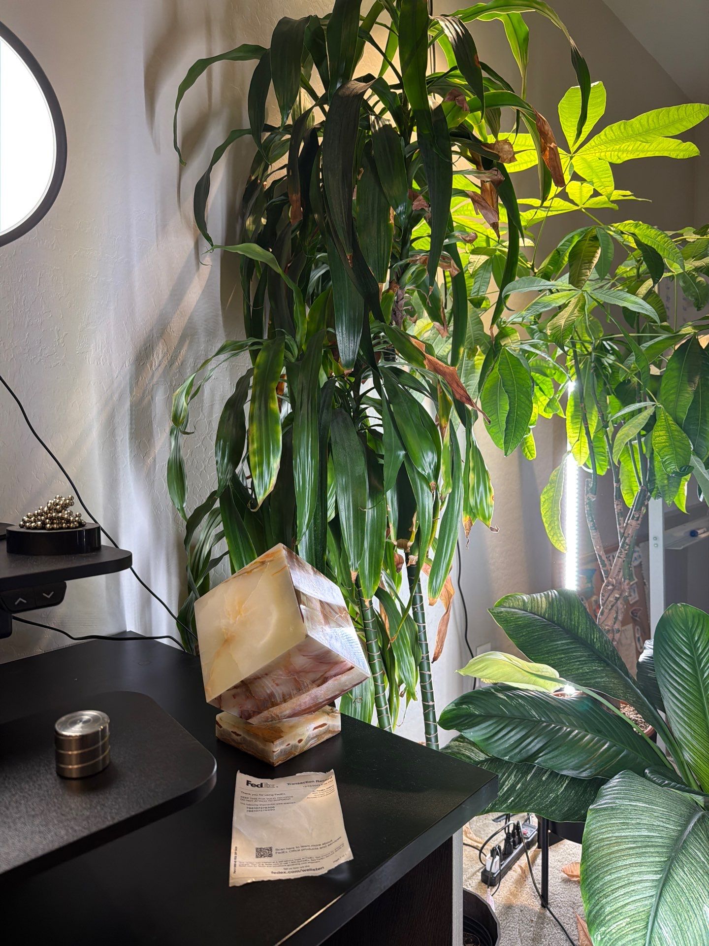 Indoor Plant and Lighting Setup for Phoenix Home Office by CompanyCam Sales Demo