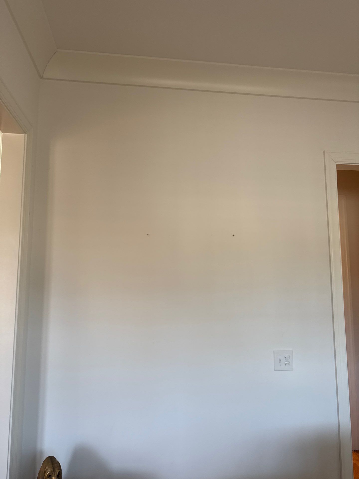 Custom Interior Painting and Board and Batten Installation in Acworth by Swift Home Renovations