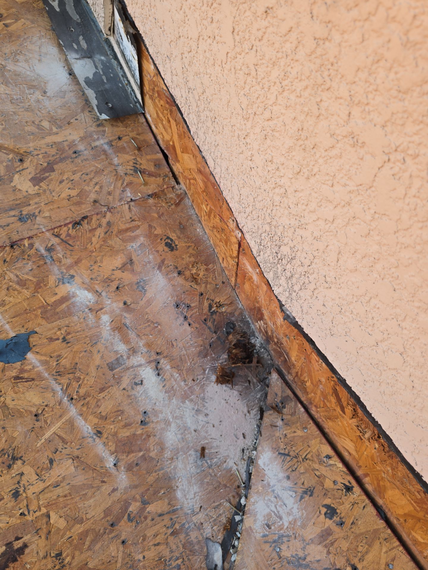 Roof Replacement in Tampa, FL by Shingle Masters Roofing