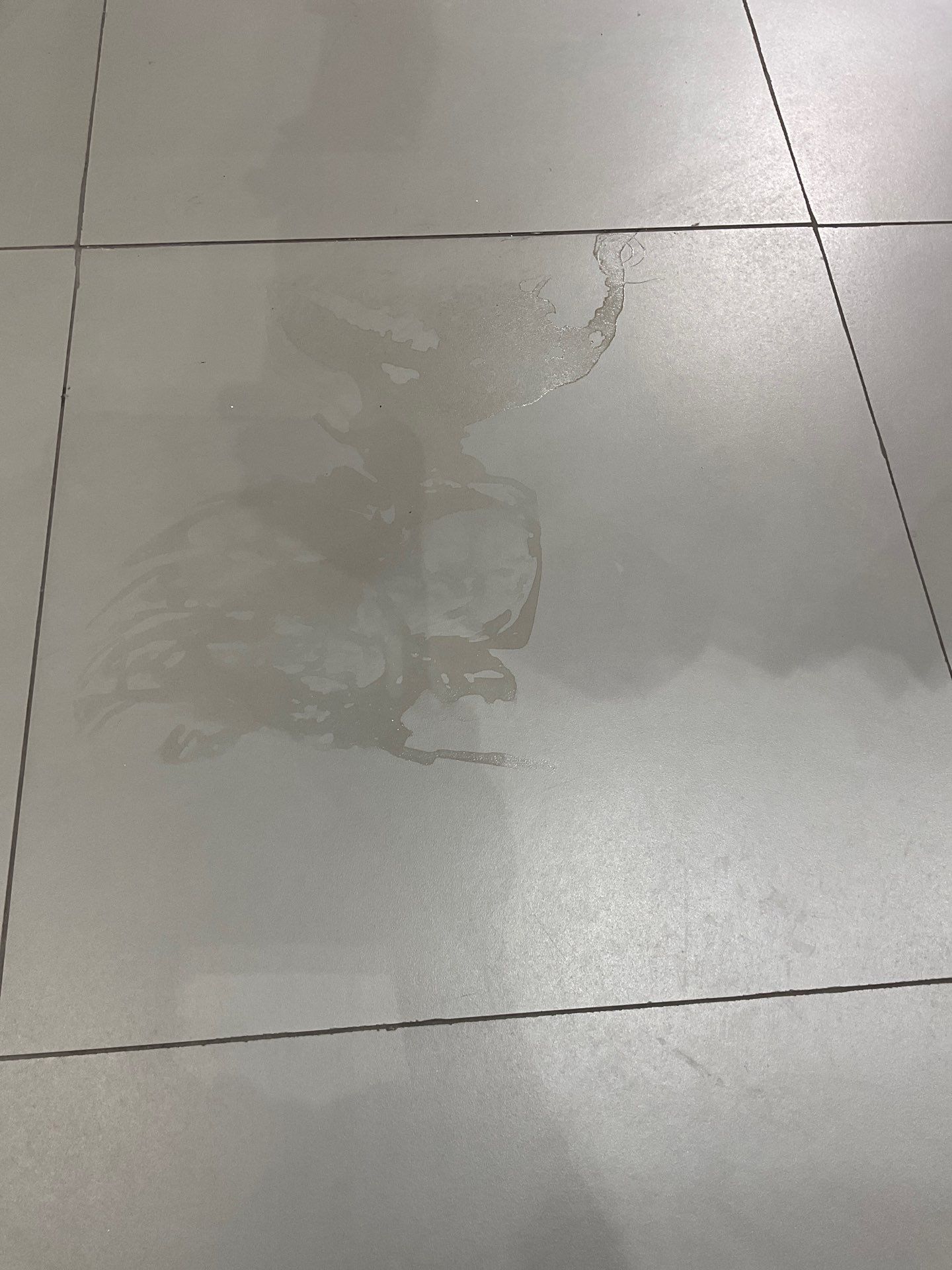 Commercial Interior Painting in Penndel, PA by Groovy Hues