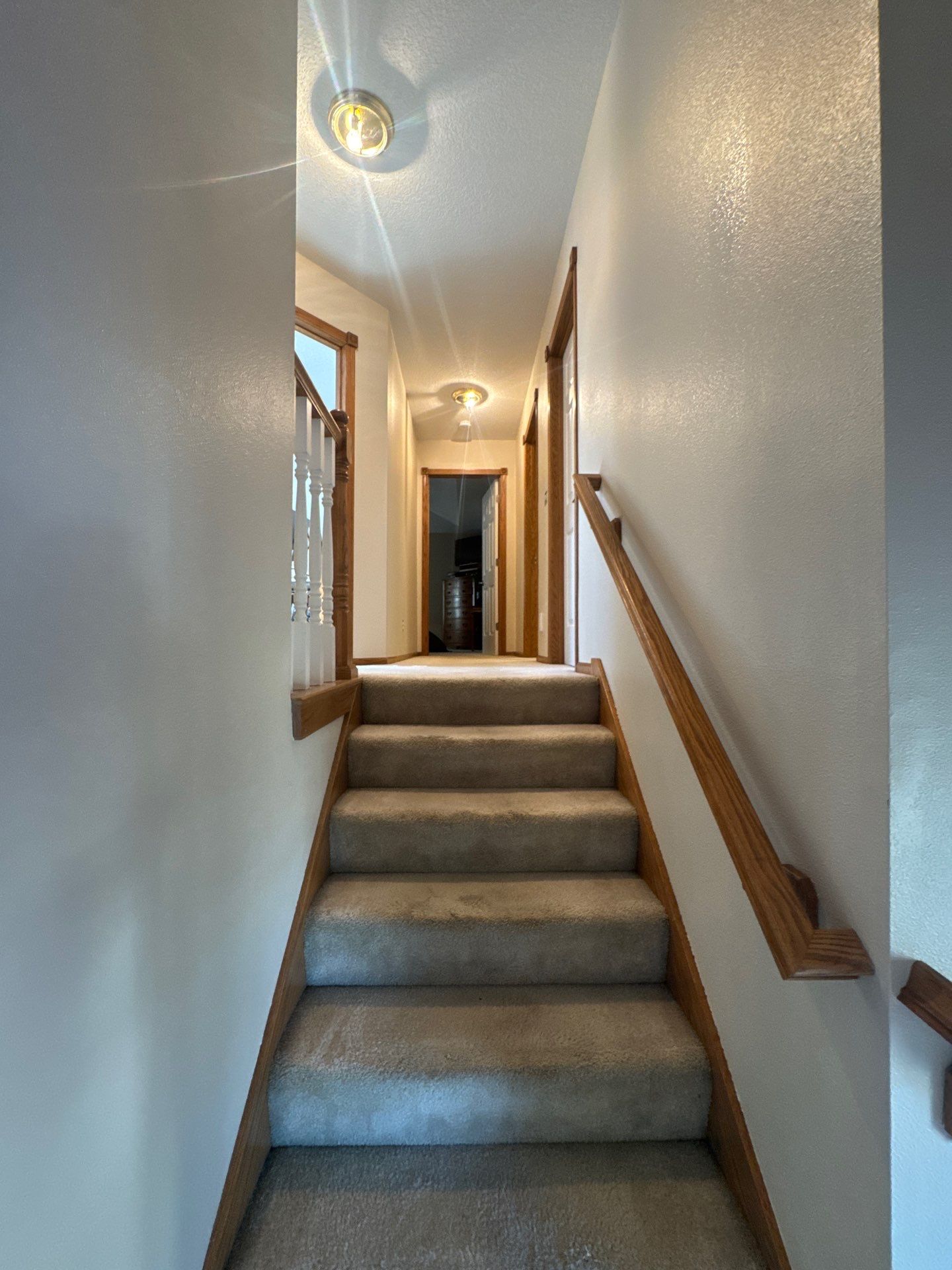 Ankeny Residential Interior | SW Duration in Natural Linen, Velvet Antler Accents & Clary Sage Bath with ProMar Flat White Ceilings by Midwest Paint LLC