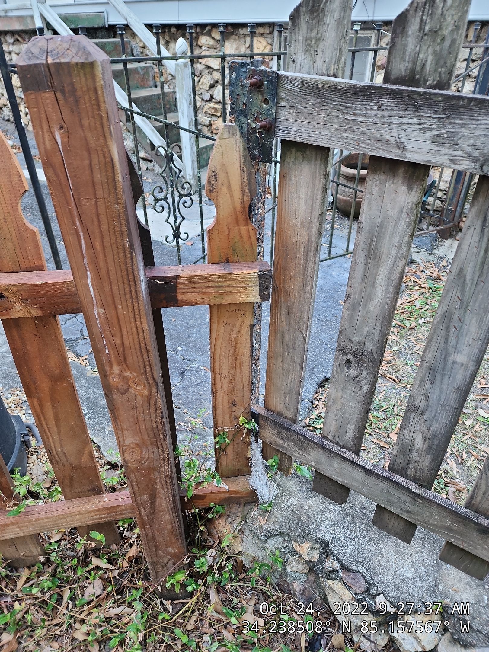 6' Wood Privacy with Dog Eared Pickets by Titans of Timber Fence & Stain