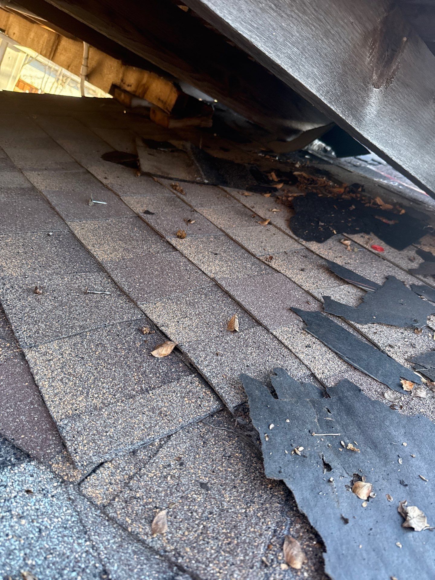 Project in Richardson by Zeus Exteriors