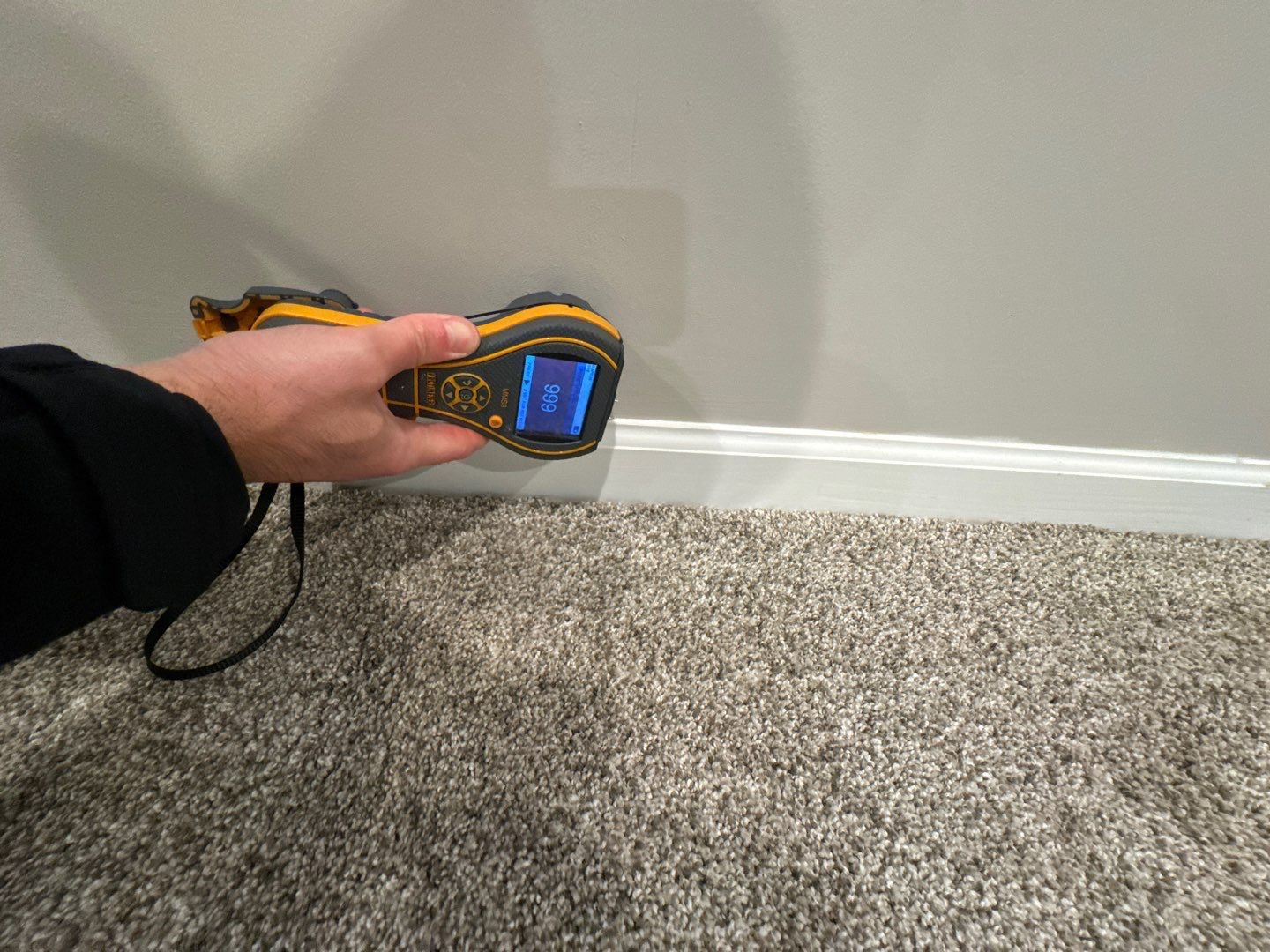 Project in Royal Oak by EzDry Water Mitigation & Property Restoration