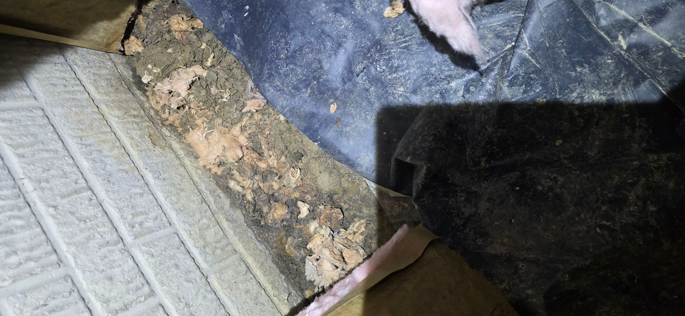 Crawl Space Encapsulation by Toledo Basement Repair