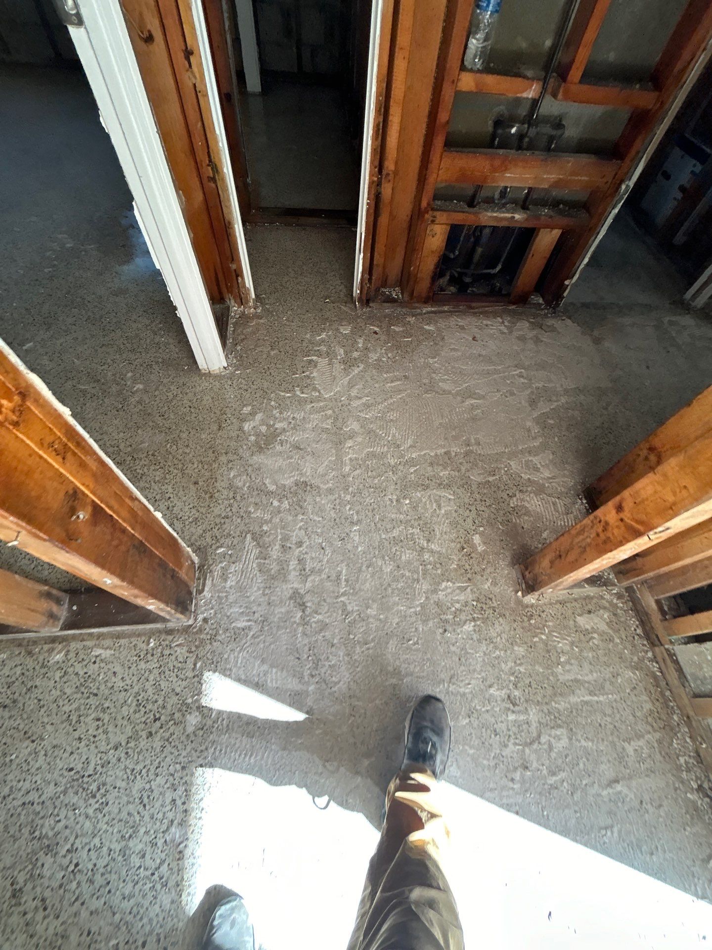 Mold Remediation + Reconstruction Bradenton by Ampm Restoration Services