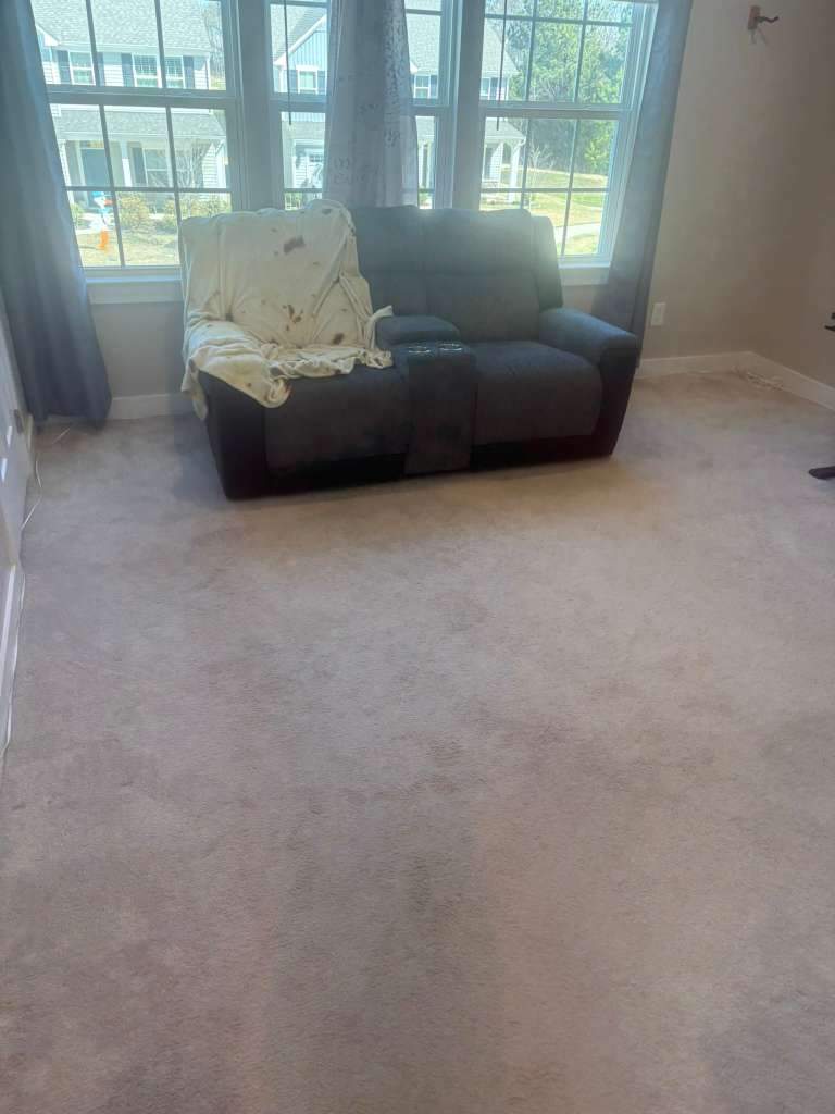 Project 41 by FMP Flooring