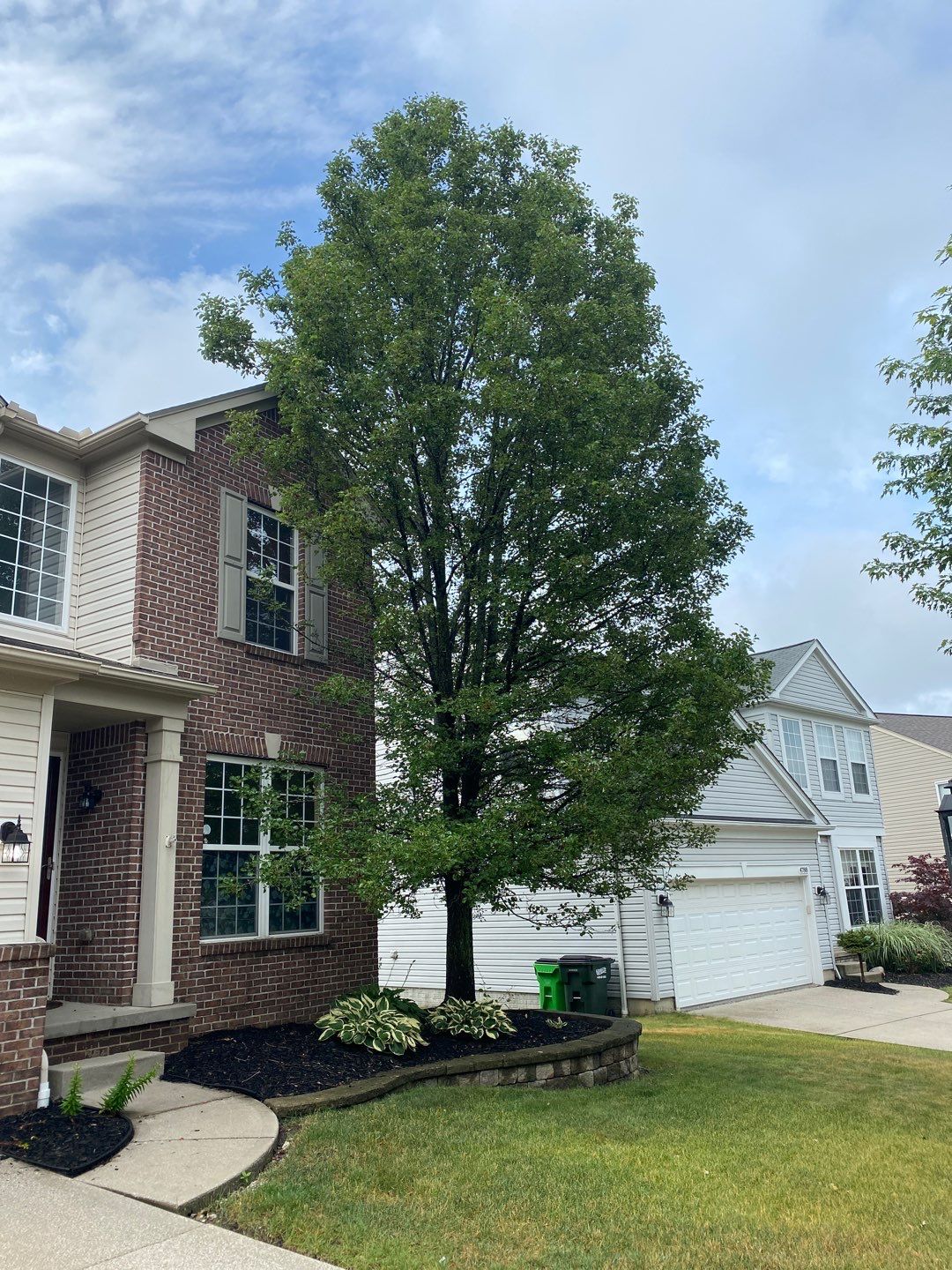 Tree Removal using Tree Removal by Mike Jones & Sons Tree Service LLC 