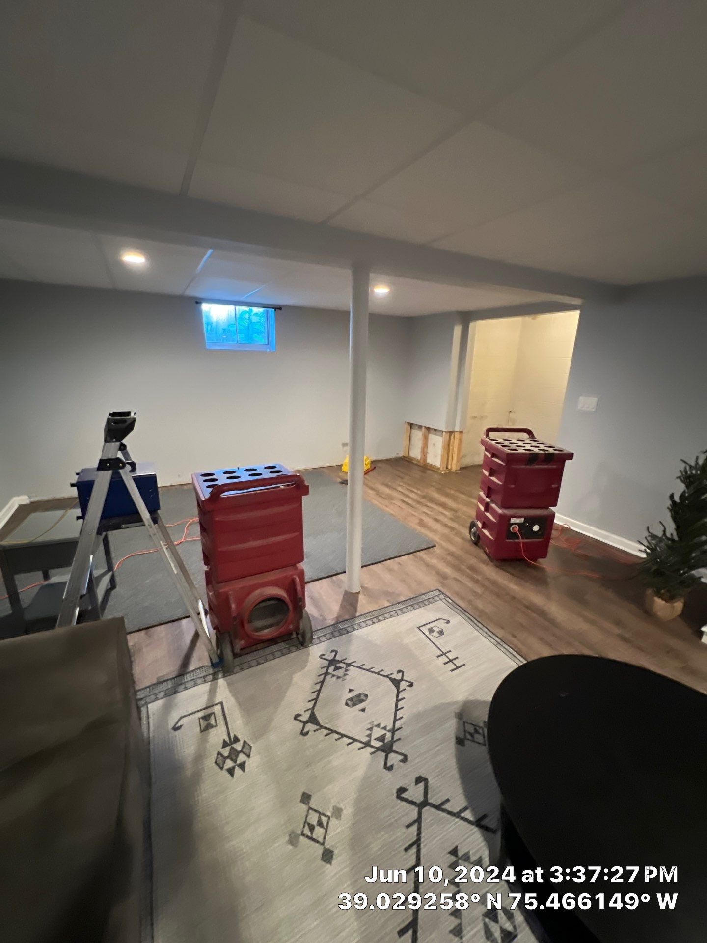 Basement Mold Remediation by Healthy Home Solutions