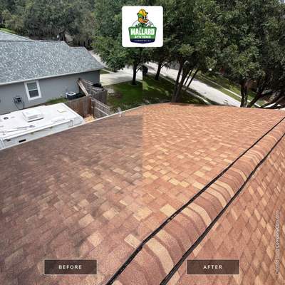 Residential Shingle Roof Cleaning in Sanford