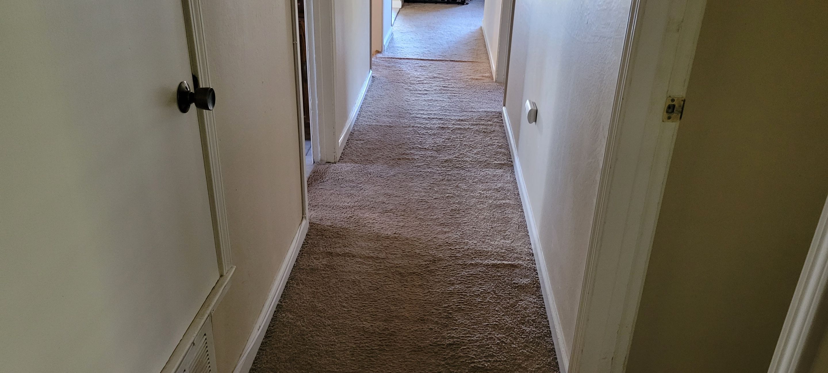 Fixing Carpet Wrinkles in a Hallway by Ardent Carpet Restore LLC