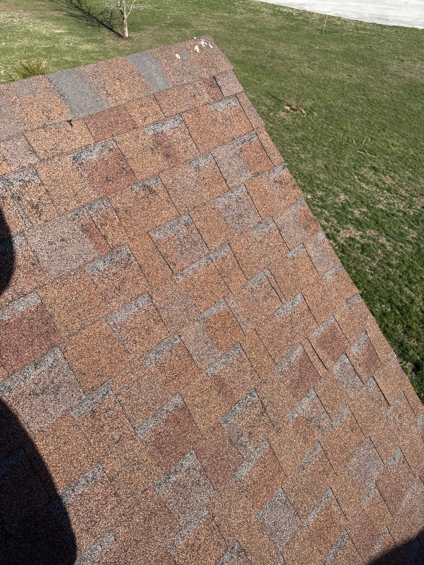 Roof Replacement & Seamless Gutters in Ozark by Table Rock Design + Build