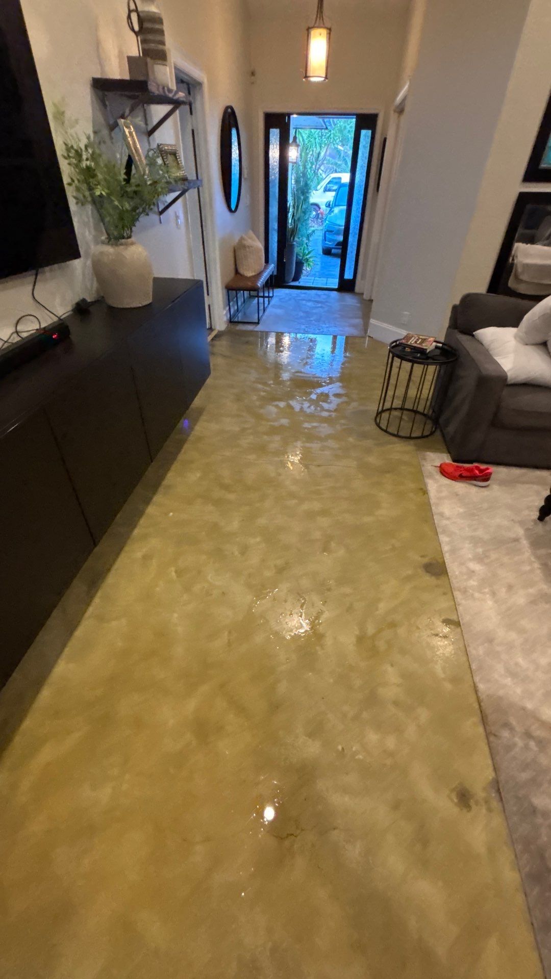 Wellington Water Damage Restoration with Thermal Imaging and Extraction by SuperClean 