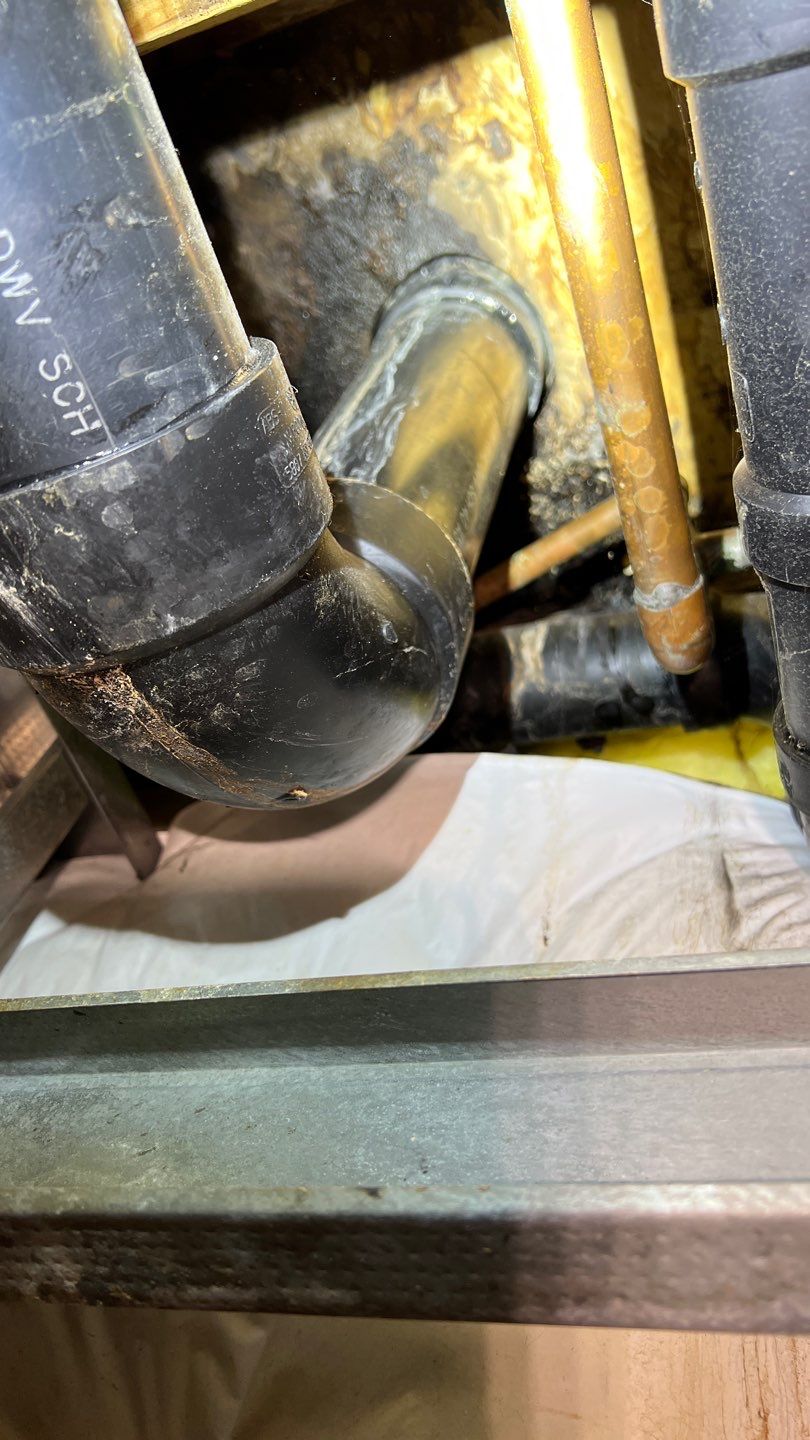 Mold Remediation by Accountable Home Services