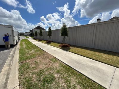 Project in Lafayette