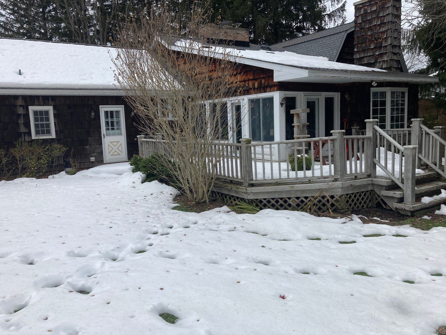 Deck and Stamped Concrete by Ivy Lea Construction