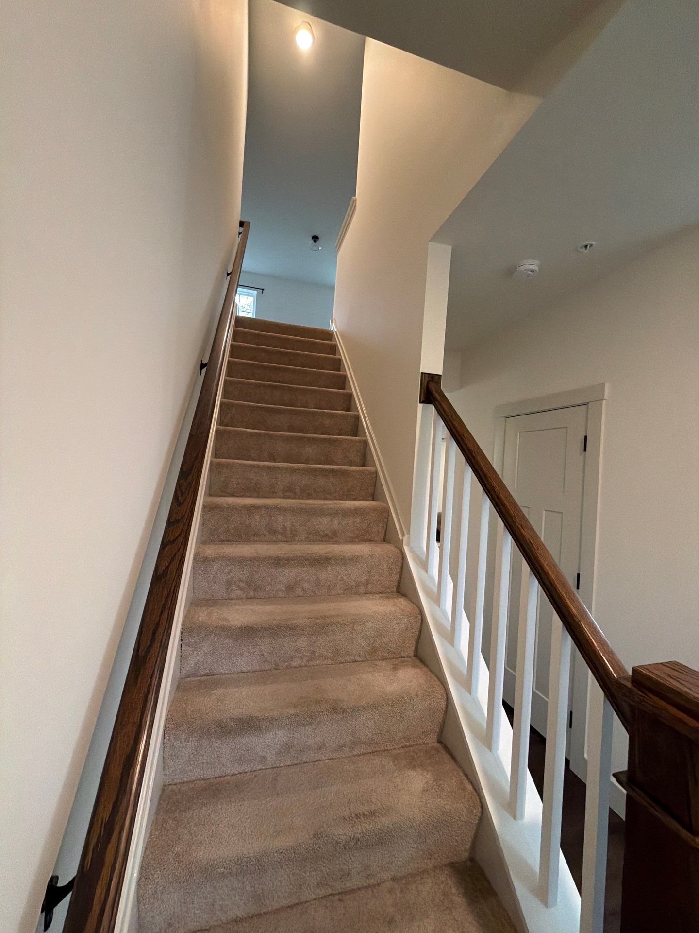 Whole-Home Interior Refresh in Malvern by Groovy Hues