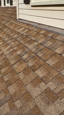 Turtle Shell gutter protection installation in Naperville, IL 60565, photograph 12