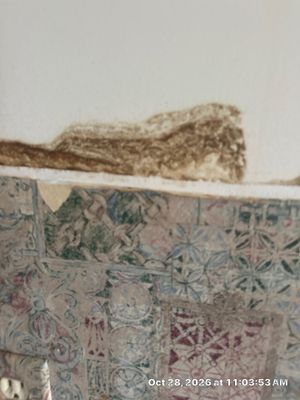 Appliance Leak Cleanup — Naples, FL