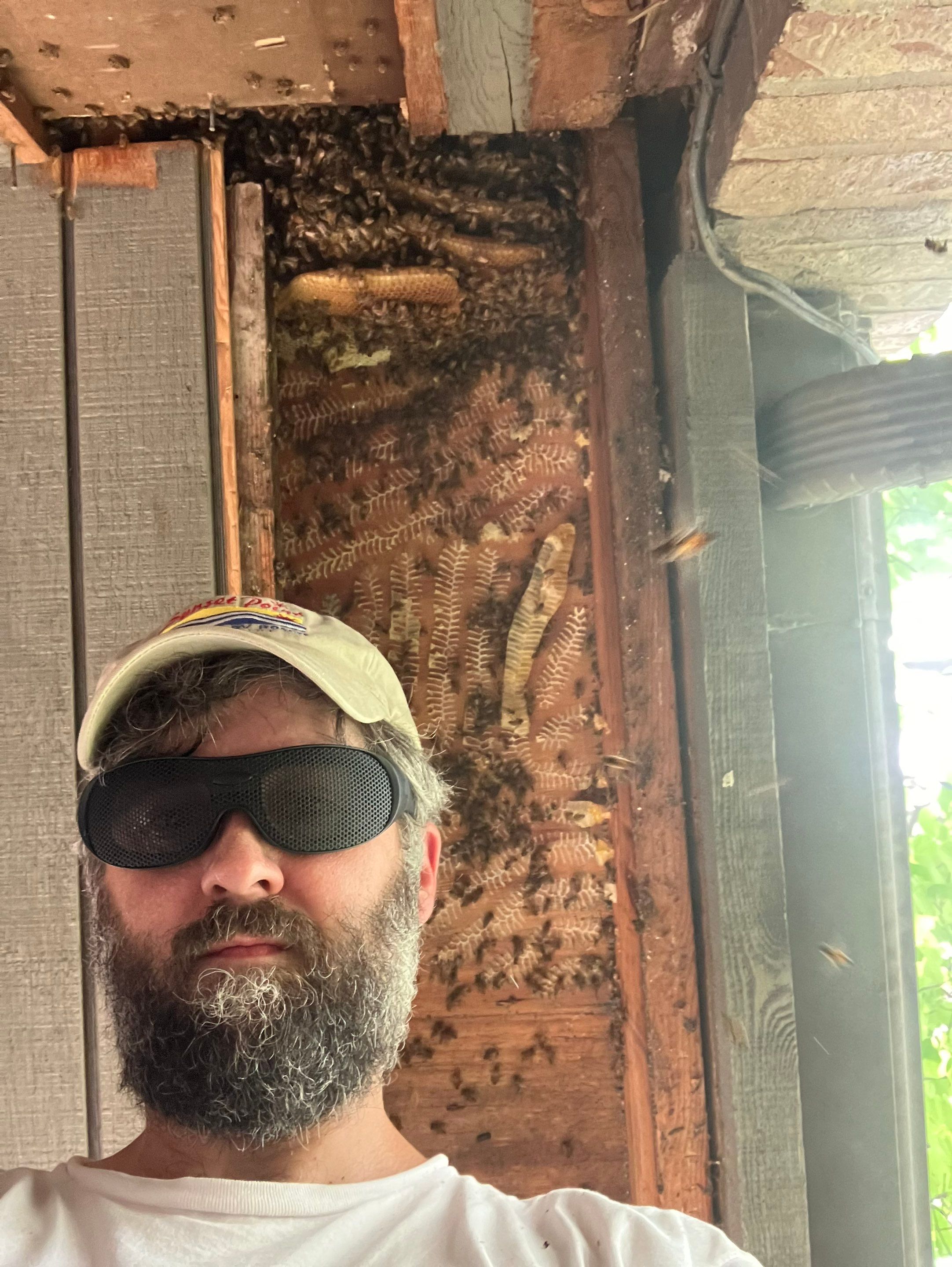 Love this house! by Rockwall Honey Bee Company