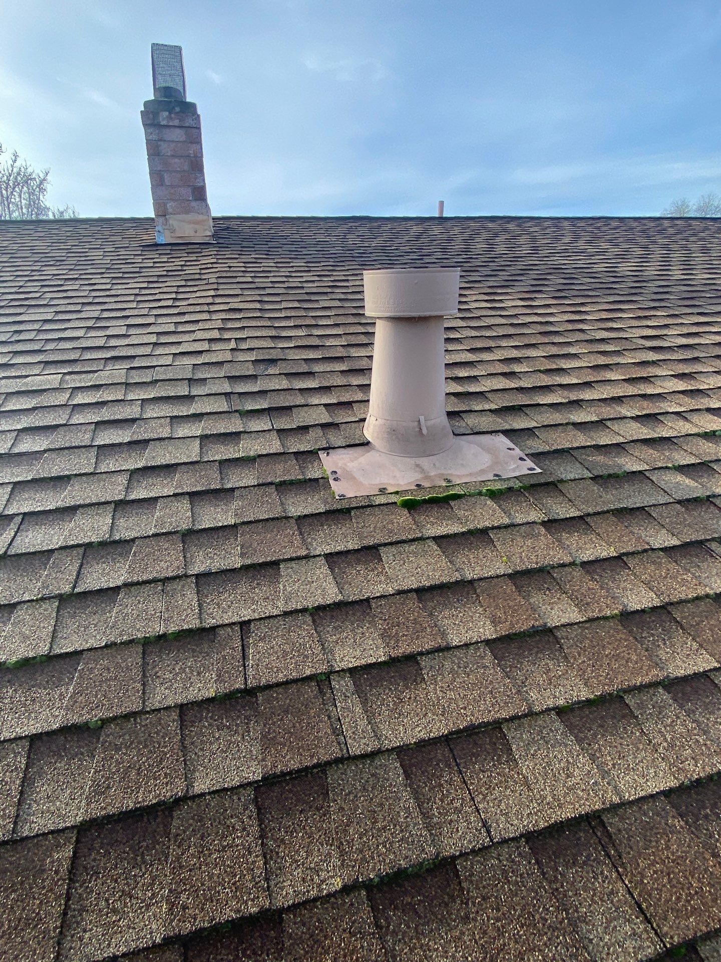 Roof Rejuvenation using Roof Maxx Treatment by Roof Maxx of Folsom