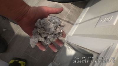 Air Duct and Dryer Vent Cleaning Dryer Vent Repair in Clermont