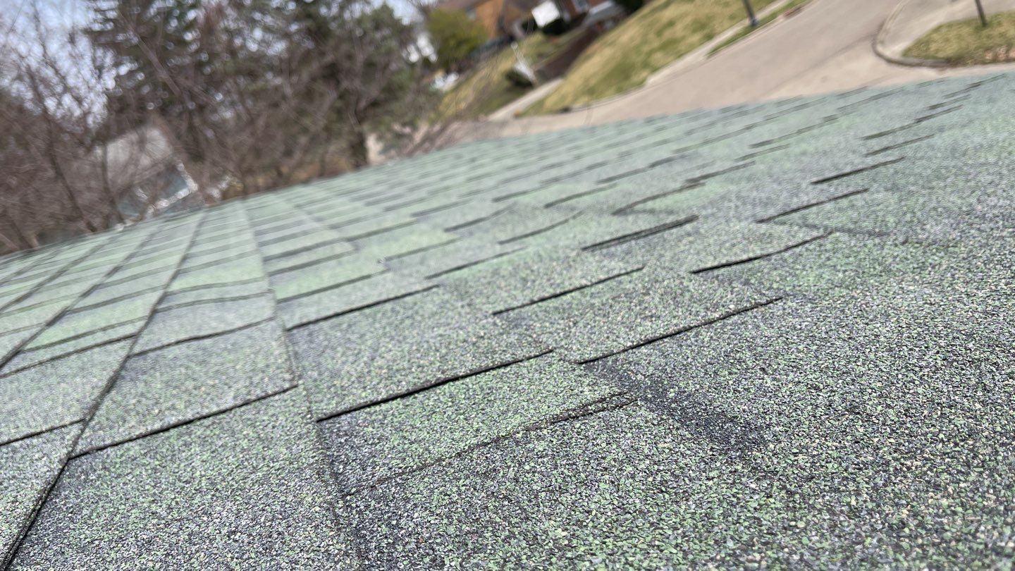 Jeff Incorvia by Silver Leaf Contracting 