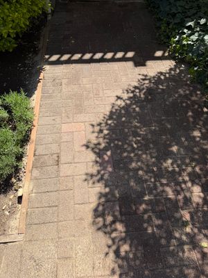 Pavers Restoration