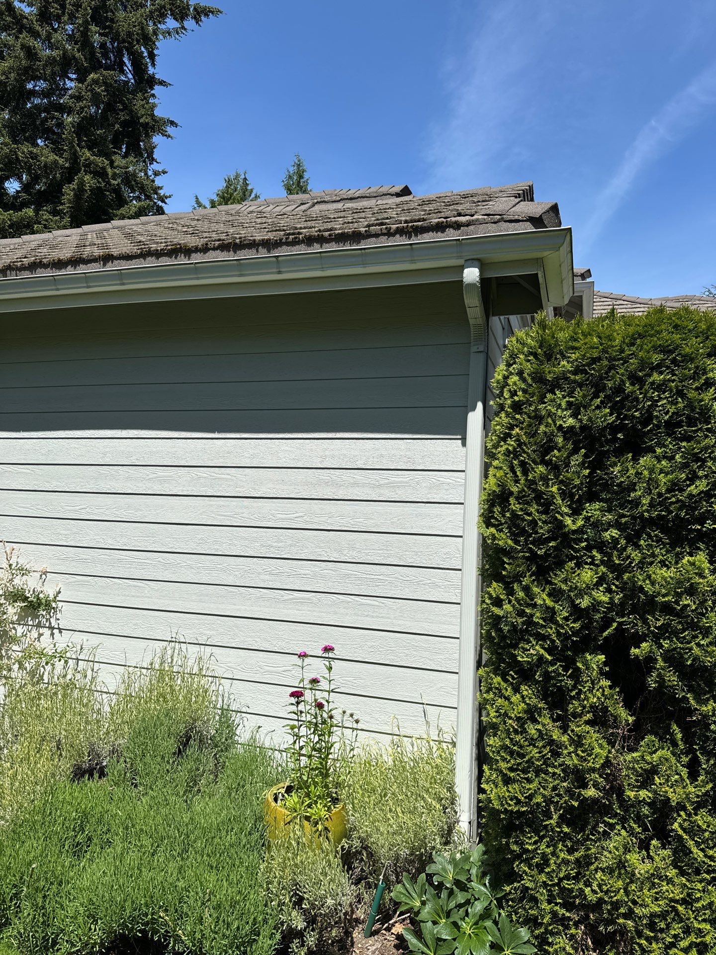 Project in Brier by Peaks and Valleys Construction