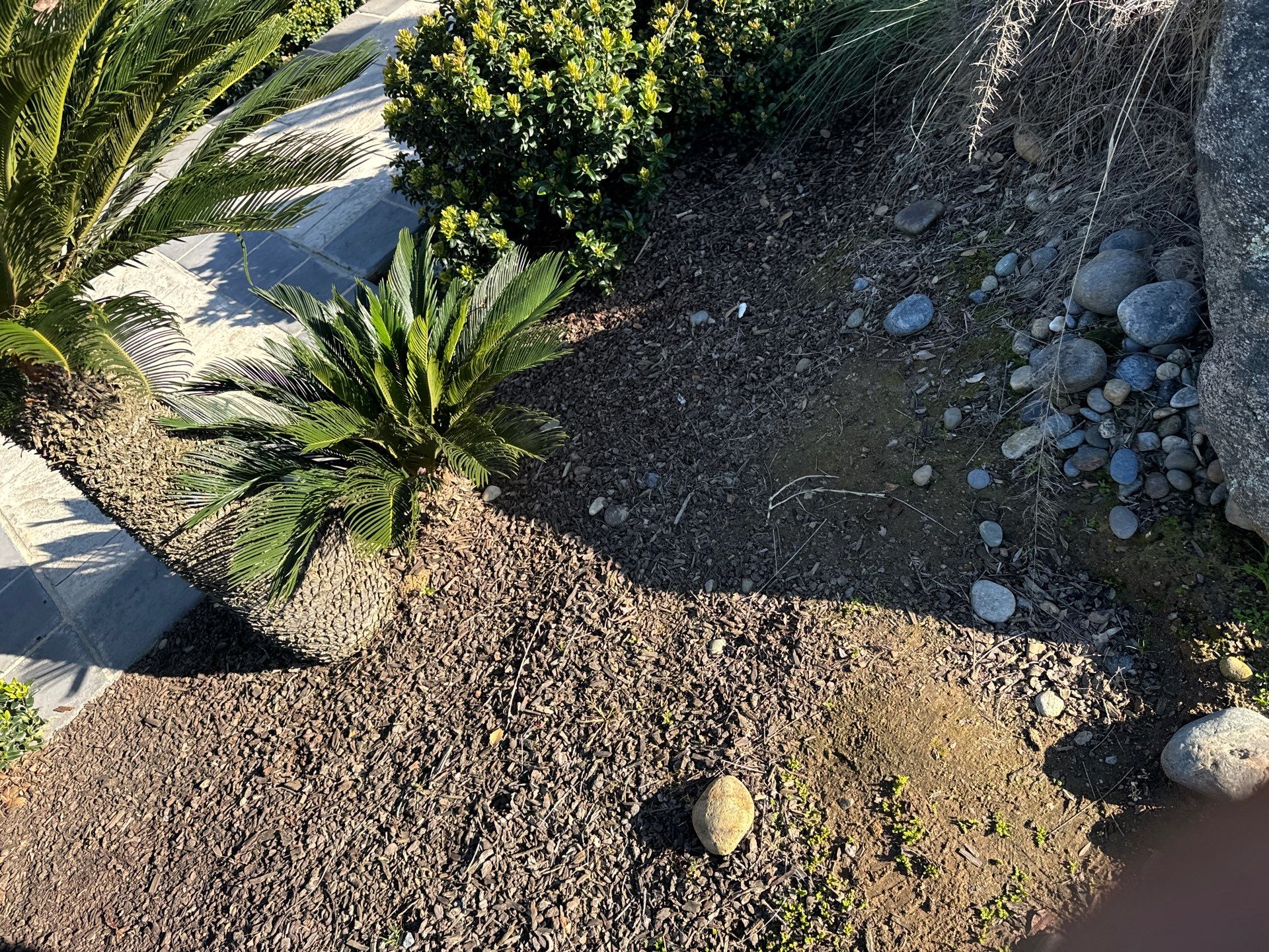 Solar Roof Leak Repair  by Grandmark Service Company