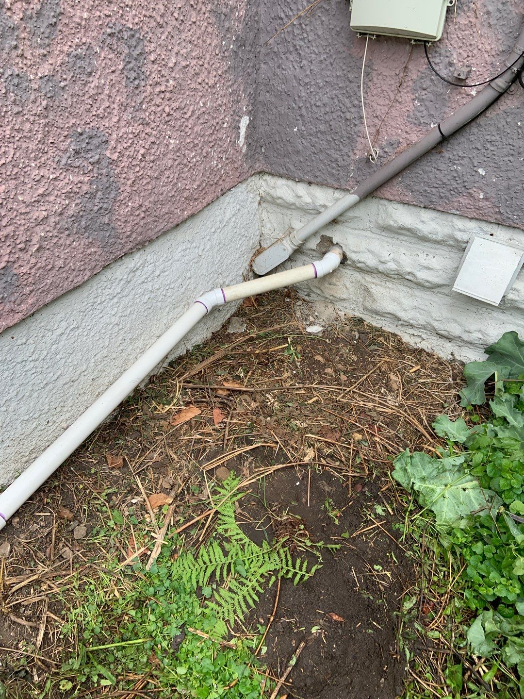 Helping Diane Protect Her Home by Waterproofing Northeast