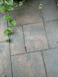 Gutter Cleaning in Budd Lake, NJ — Gallo Bros job photo
