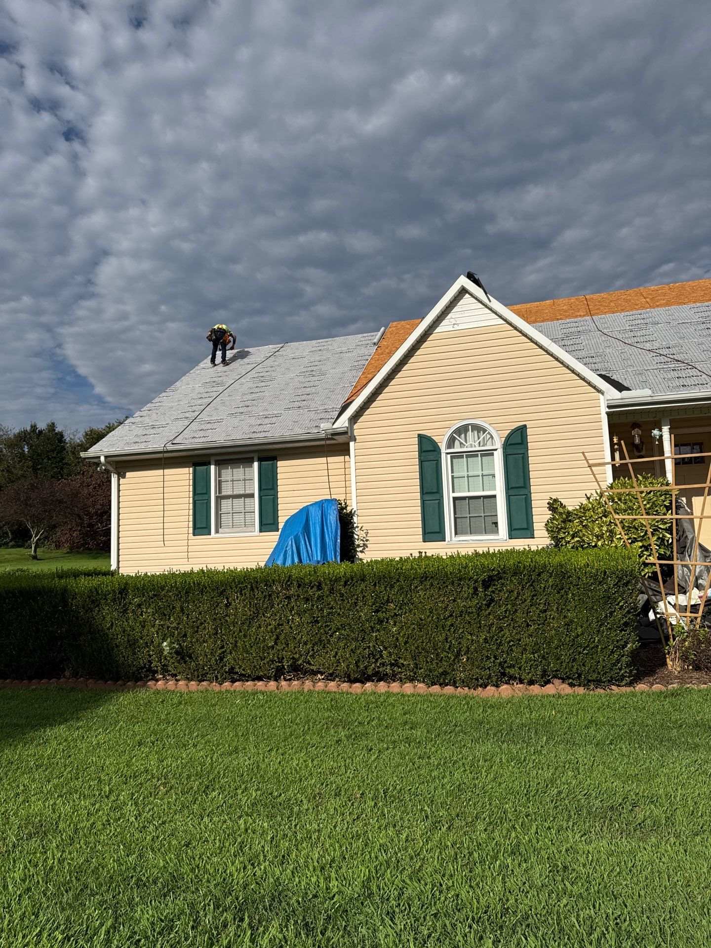 Guadalupe Gonzalez by United Contracting and Roofing