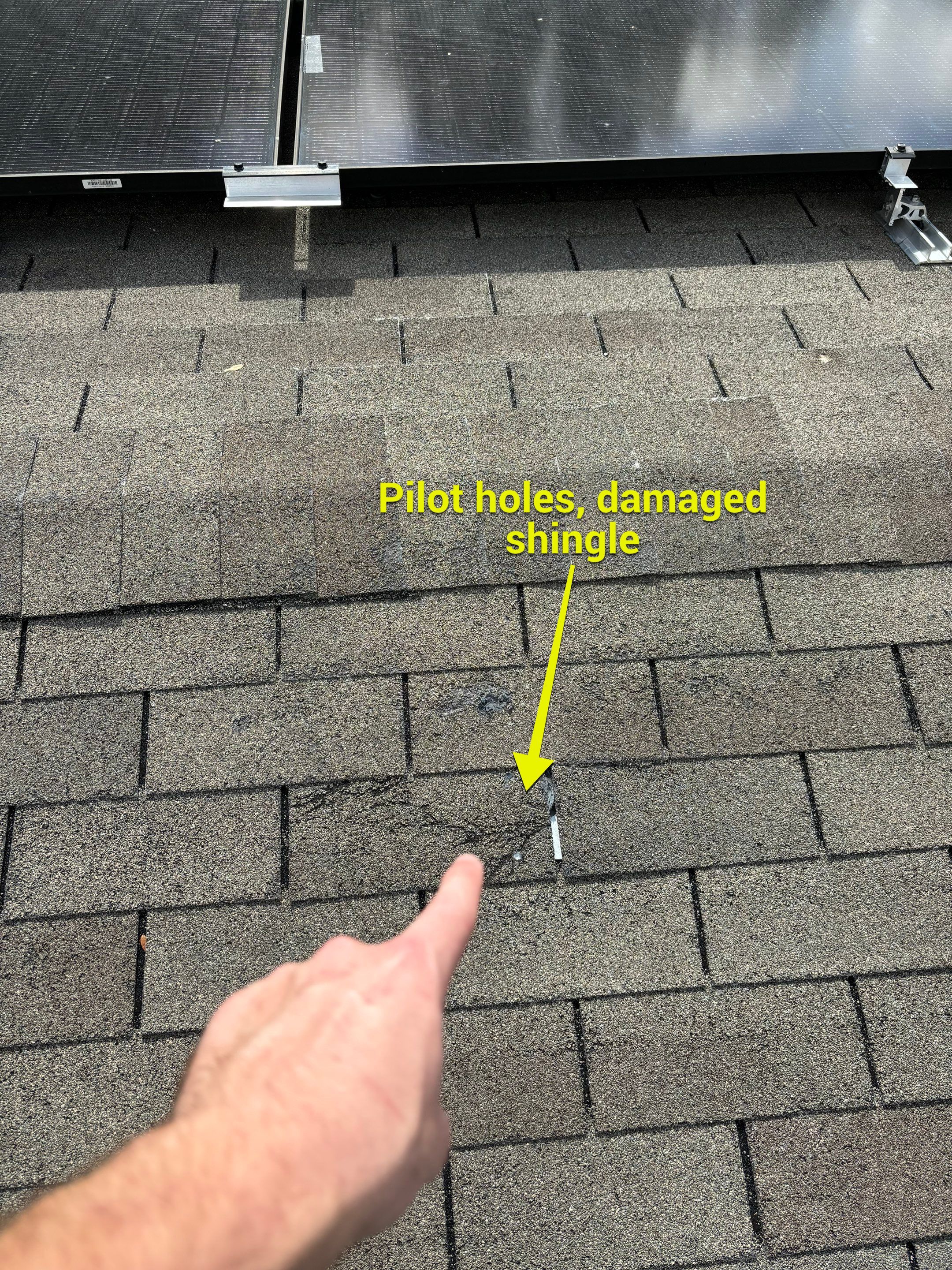 Modified Bitumen Membrane by Reimagine Roofing