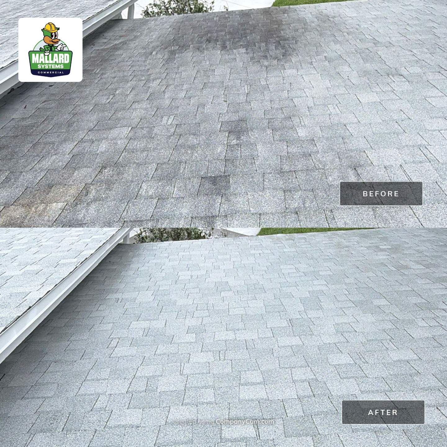 Residential Shingle Roof Cleaning and Exterior Refresh in Maitland by Mallard Systems