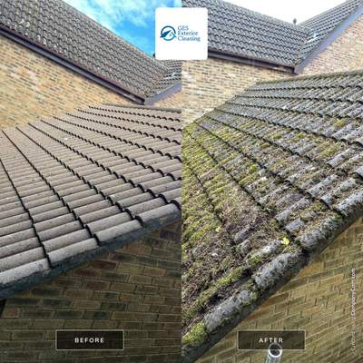 Roof Clean - Moss Removal using Honda 15lpm Low Pressure Washing Machine